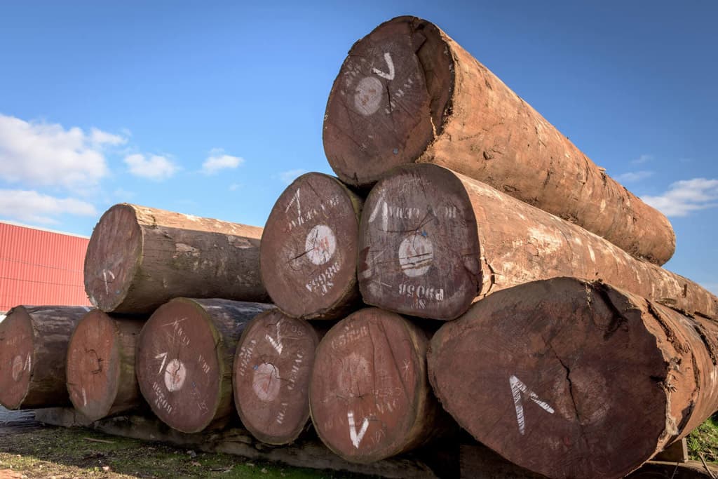 En Maderas Amazonas nos adaptamos a las demandas del sector