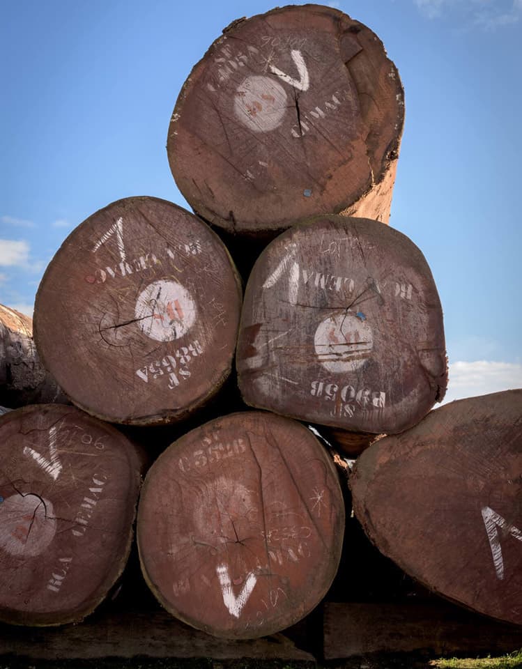 Venta de madera, frisos, molduras y rodapiés en Santiago